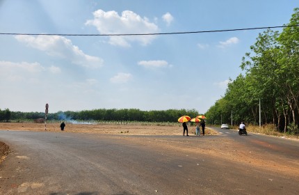 Cần bán đất mặt tiền đường nhựa xã Lòa, Lộc Ninh, Bình Phước